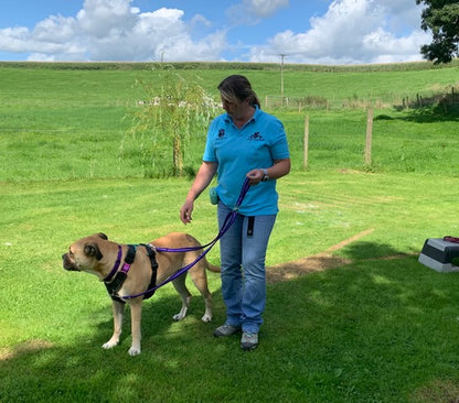 Double Ended Dog Lead With Sliding Swivel Handle Set In 25mm Air Webbing