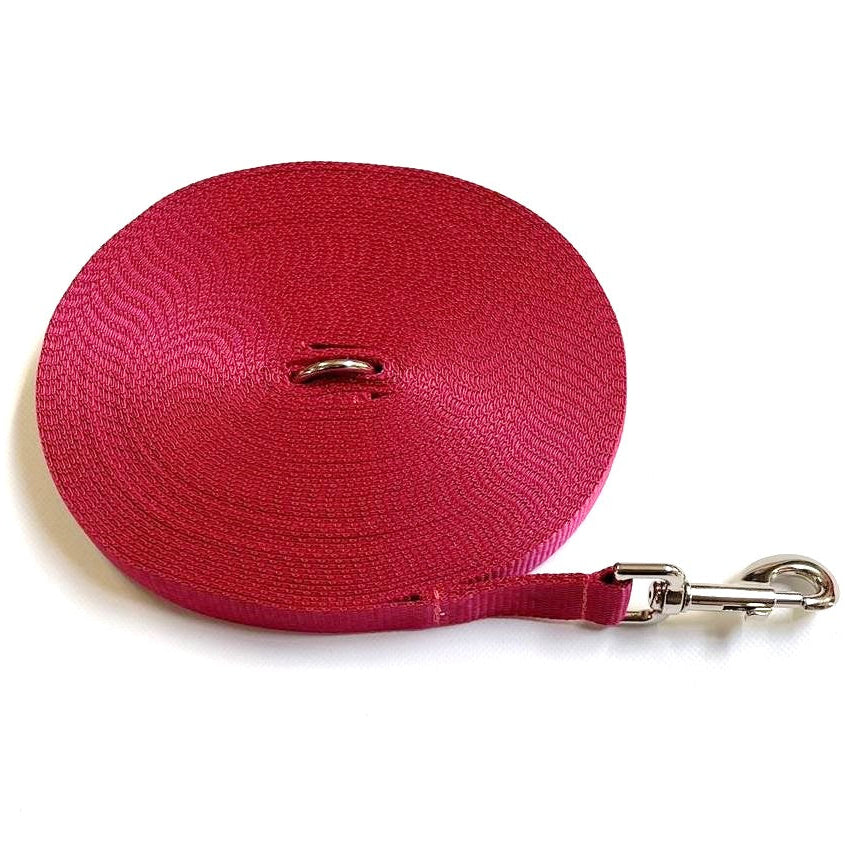 Dog Training Lead 25mm Heavy Webbing 5ft - 30ft Long Line Tracking Recall In 20 Colours