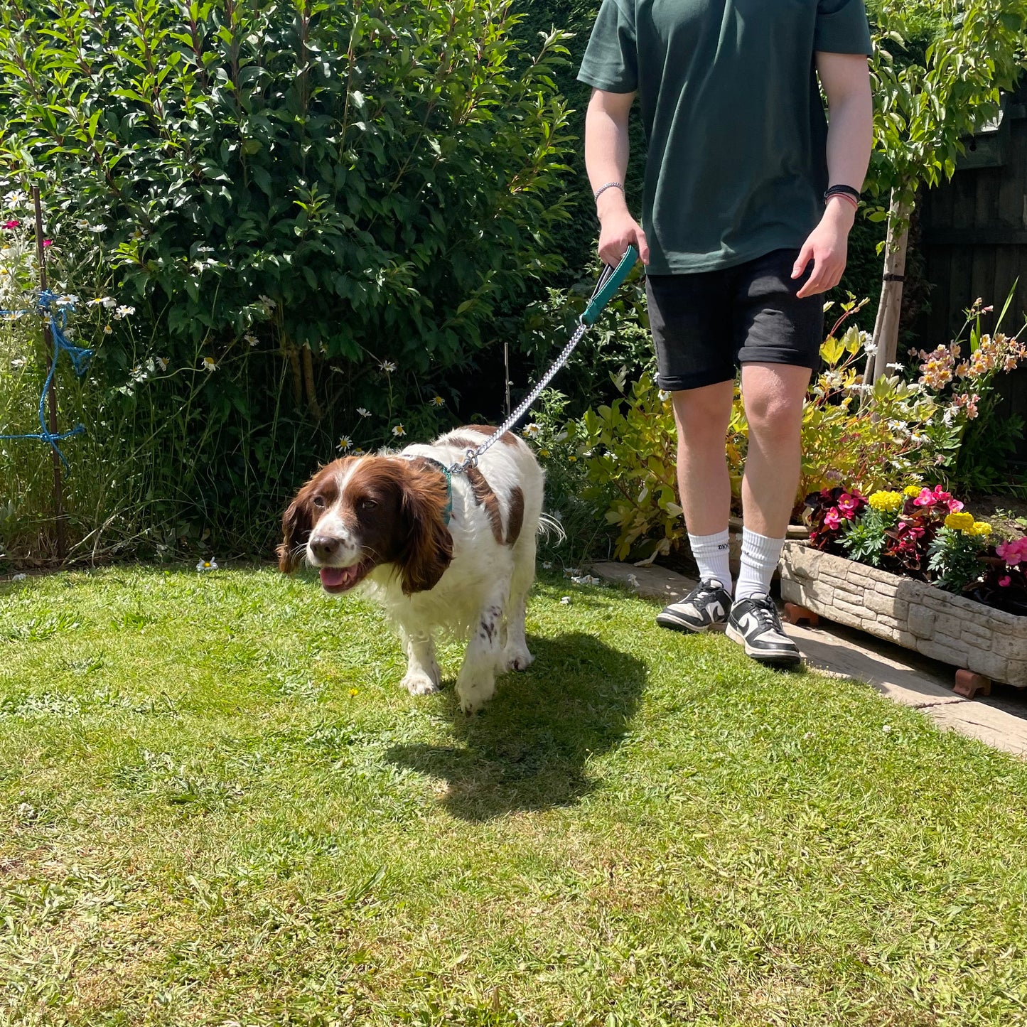 Metal Chain Dog Lead Padded Handle 32" Long 80cm Heavy Duty Short Walking Lead