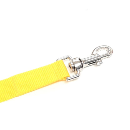 Dog Training Lead 5ft - 100ft Long Strong Tracking Leash Recall Line In 7 Colours 25mm Webbing