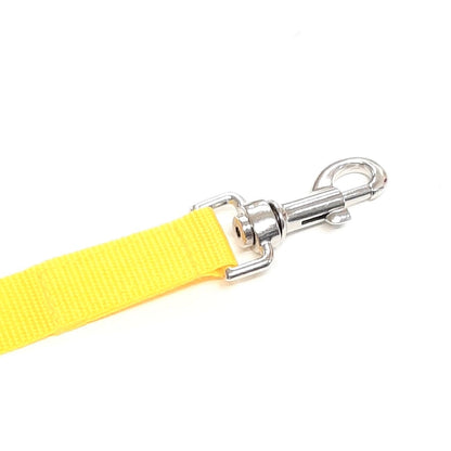 Dog Training Lead Tracking Leash Recall Line 1m To 25m Long 25mm Webbing 7 Colours