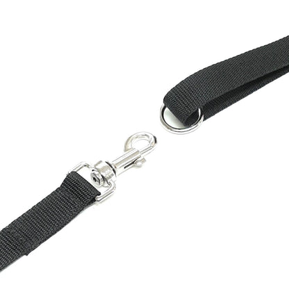 Dog Training Lead 5ft - 100ft Long Strong Tracking Leash Recall Line In 7 Colours 25mm Webbing