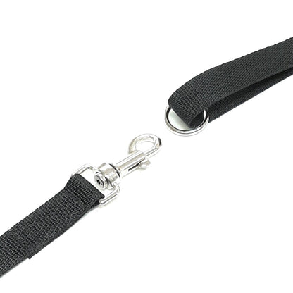 Dog Training Lead Tracking Leash Recall Line 1m To 25m Long 25mm Webbing 7 Colours