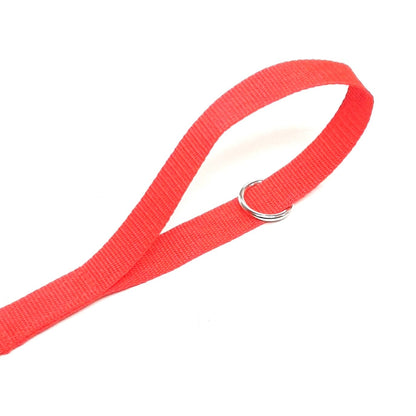 Dog Training Lead Tracking Leash Recall Line 1m To 25m Long 25mm Webbing 7 Colours