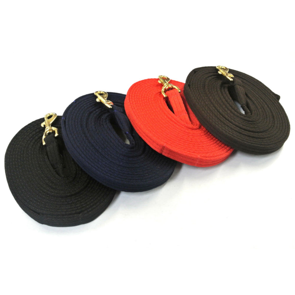 Horse Lunge Line Dog Training Lead Padded Strong Soft Air Webbing Solid Brass Trigger Clip