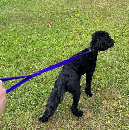 Dog Lead Walking Leash Short Training Lead 45" And 76" Long 20mm 25mm Soft Air Webbing In Various Colours