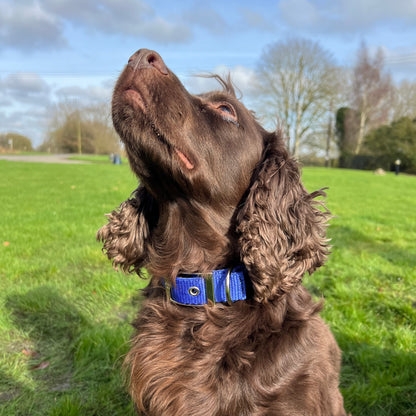 Dog Collar Adjustable Soft Padded Collar 25mm Wide Small Medium Large 20 Colours