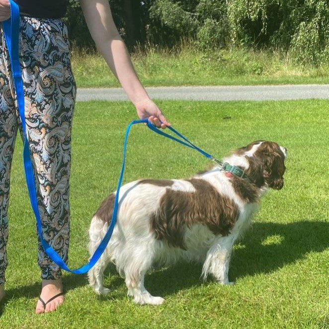 Dog Lead With Double Handle For Quick Grab Safety Control 2m Long Walking Leash