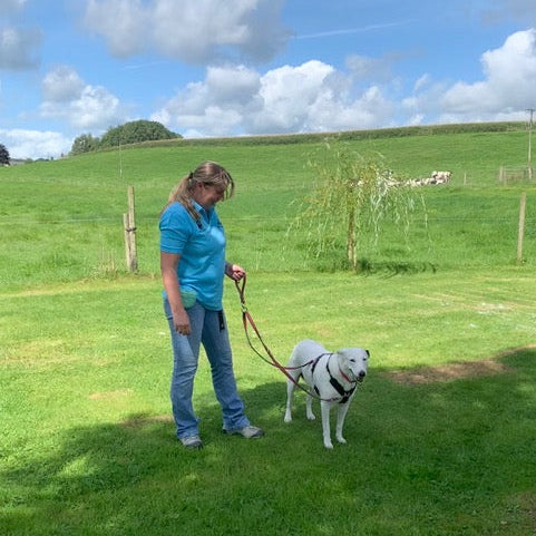 Sliding Handle With Swivel Ring In 25mm Air Webbing