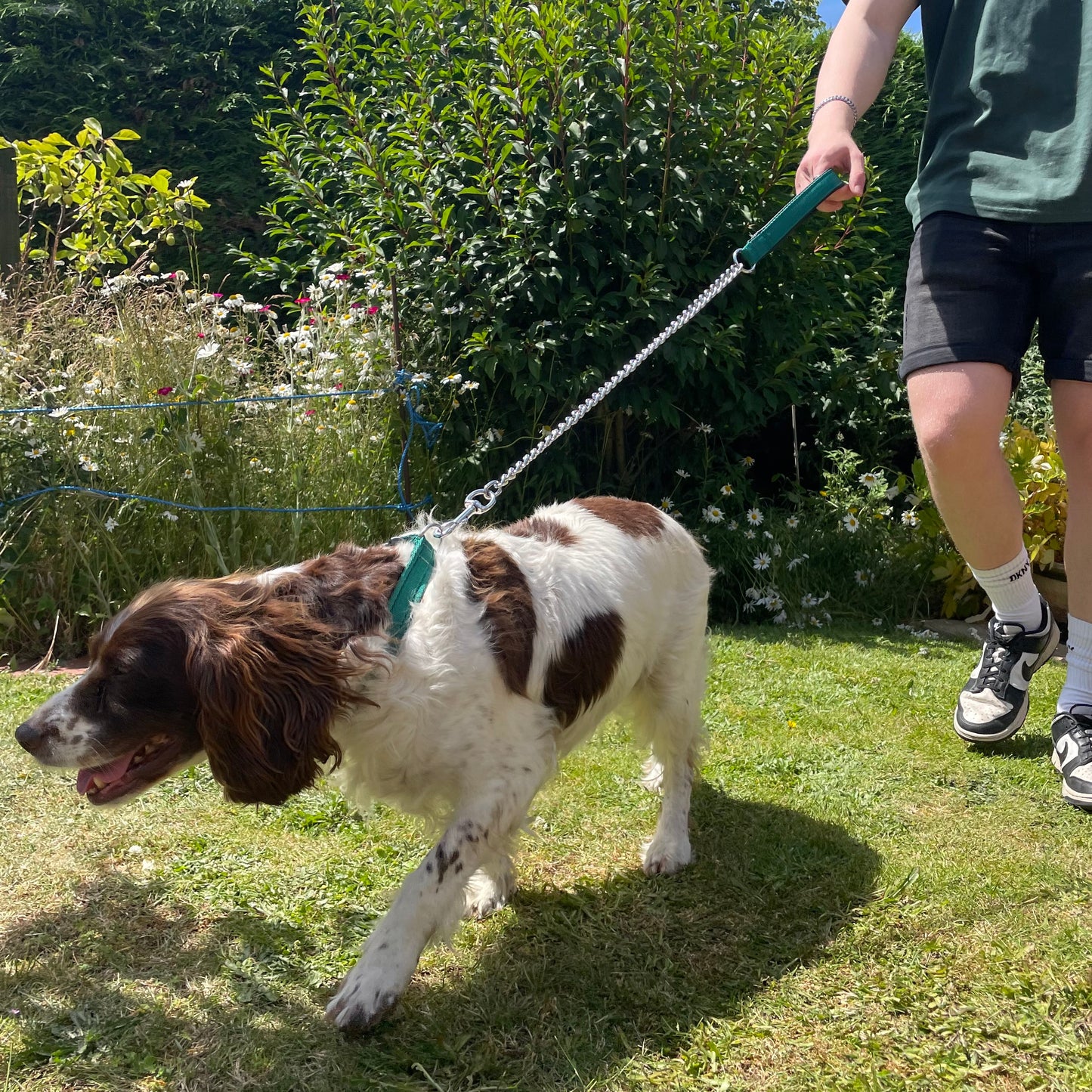 Metal Chain Dog Lead Padded Handle 32" Long 80cm Heavy Duty Short Walking Lead