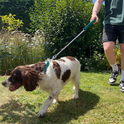 Metal Chain Dog Lead Padded Handle 32" Long 80cm Heavy Duty Short Walking Lead