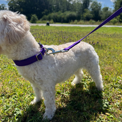 45" Long Puppy Dog Walking Lead Leash 20mm Wide Strong Durable Webbing In 19 Colours