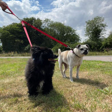 Load image into Gallery viewer, 25mm Adjustable 2 Way Coupler Splitter Dog Leads Leash Strong Durable Webbing In 19 Various Colours