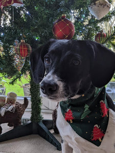 Christmas Dog Bandanas 5 Festive Designs In 4 Sizes 100% Cotton