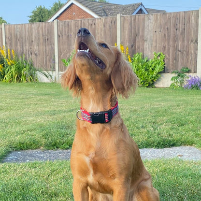 Tartan Dog Collar 25mm Wide Adjustable Comfortable Collar Small Medium Large 17 Designs