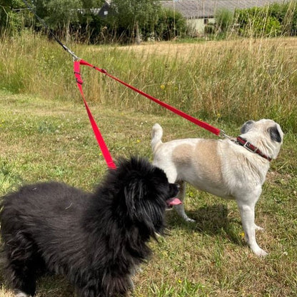 25mm Adjustable 2 Way Coupler Splitter Dog Leads Leash Strong Durable Webbing In 19 Various Colours