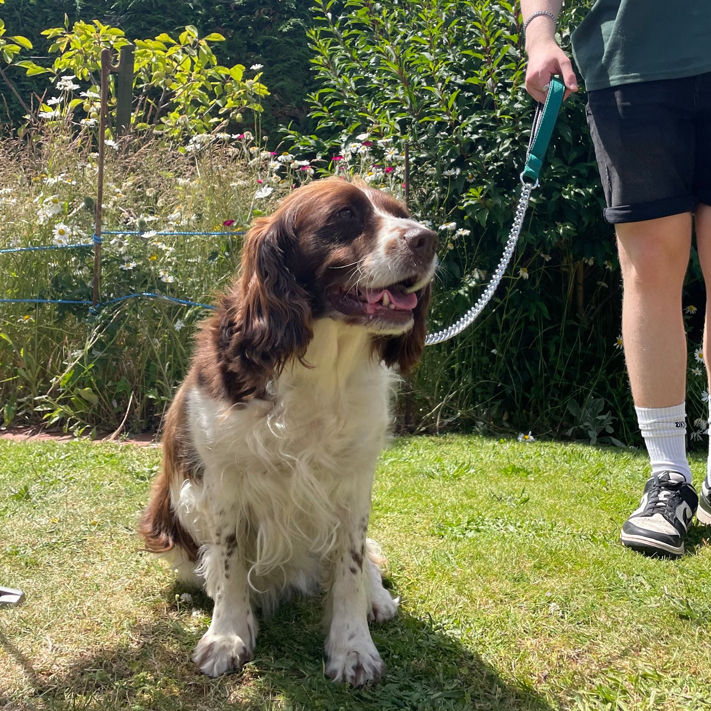 Metal Chain Dog Lead Padded Handle 32" Long 80cm Heavy Duty Short Walking Lead