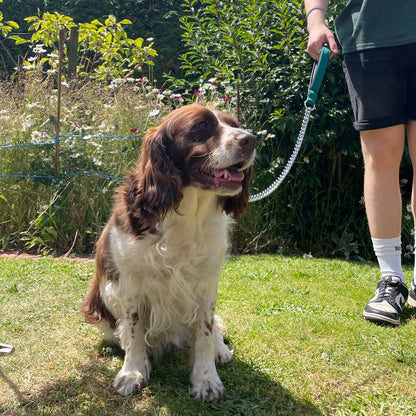 Metal Chain Dog Lead Padded Handle 32" Long 80cm Heavy Duty Short Walking Lead