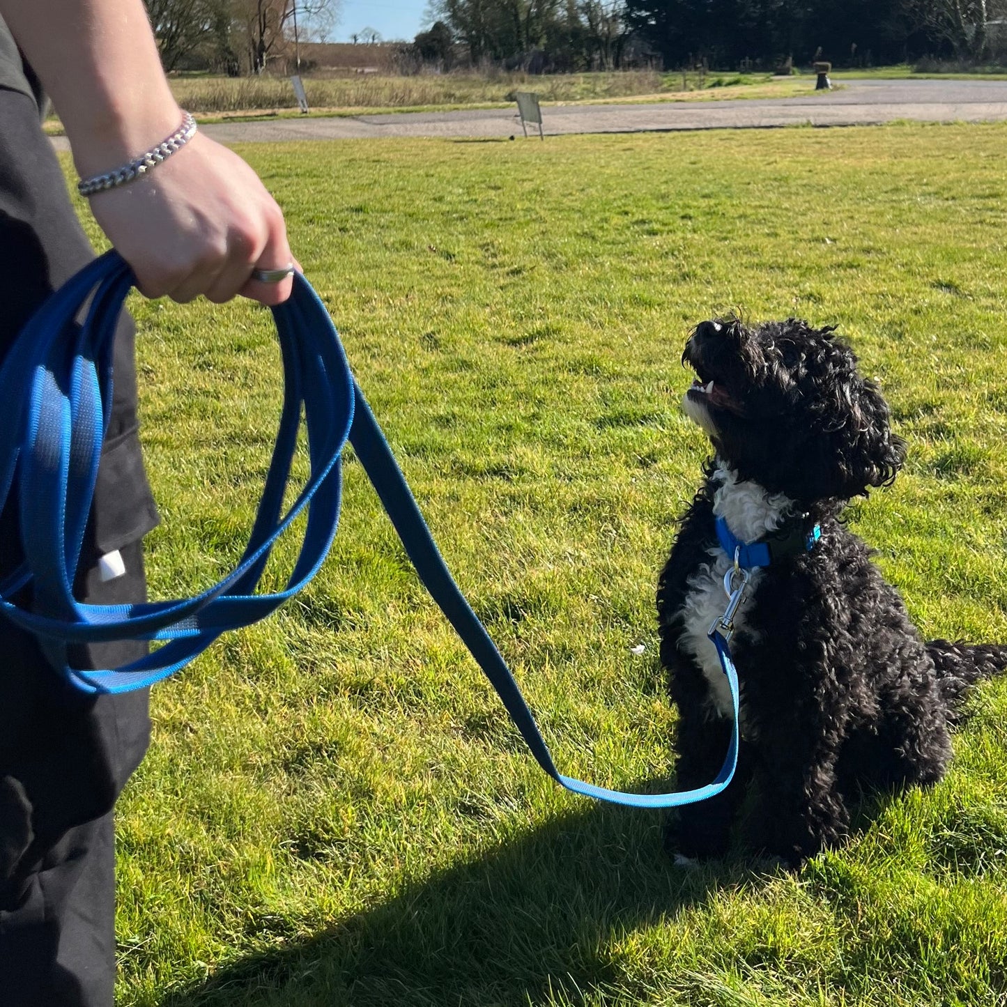 Dog Training Leads Rubber Grip Webbing Slip Resistance Tracking Leash Long Line With No Handle