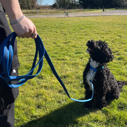 Dog Training Leads Rubber Grip Webbing Slip Resistance Tracking Leash Long Line With No Handle