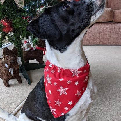 Christmas Dog Bandanas 9 Festive Designs In 4 Sizes 100% Cotton