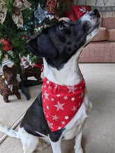 Load image into Gallery viewer, Christmas Dog Bandanas 5 Festive Designs In 4 Sizes 100% Cotton