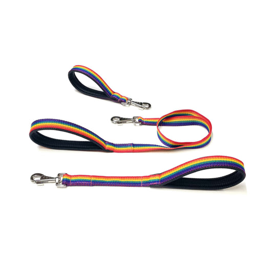Rainbow Short Dog Leads Close Control Padded Handle