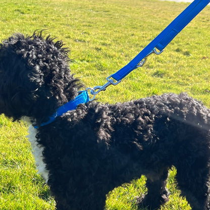 Police Style Dog Training Leads Double Ended Obedience Leash Multi-Functional 25mm Cushion Webbing