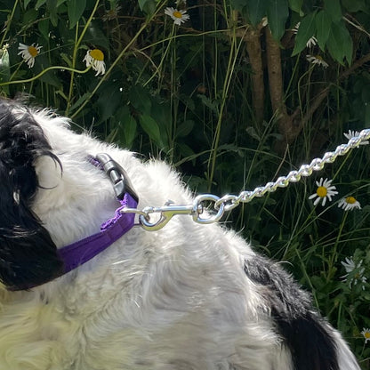 Metal Chain Dog Lead Padded Handle 32" Long 80cm Heavy Duty Short Walking Lead