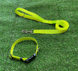 Dog Collar In 25mm Fluorescent Yellow Webbing Adjustable In Various Sizes