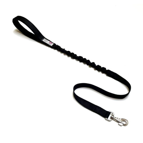 Shock Absorbing Bungee Dog Lead Training Walking Leash With Soft Padded Handle