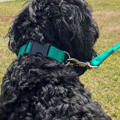 Adjustable Dog Collars 25mm Cushion Webbing In Various Colours And Sizes Small Medium Large