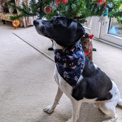 Christmas Dog Bandanas 9 Festive Designs In 4 Sizes 100% Cotton