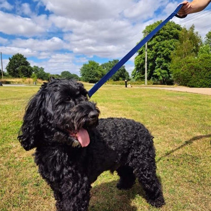 Short Dog Lead Padded Handle 45" 76" Leash Strong 25mm H/D Webbing 21 Colours