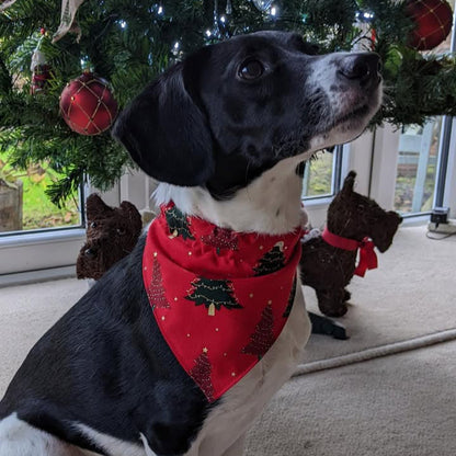 Christmas Dog Bandanas 9 Festive Designs In 4 Sizes 100% Cotton