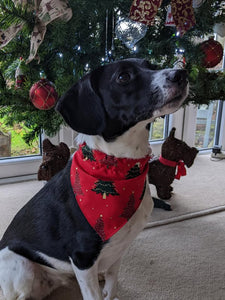 Christmas Dog Bandanas 5 Festive Designs In 4 Sizes 100% Cotton