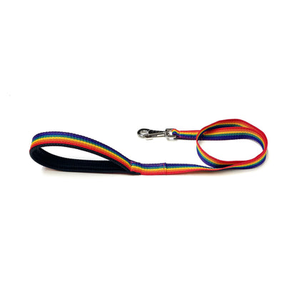 Rainbow Short Dog Leads Close Control Padded Handle