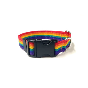 Rainbow Dog Collar In 25mm Webbing Strong Adjustable In Various Sizes