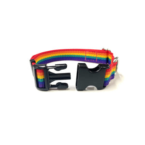 Rainbow Dog Collar In 25mm Webbing Strong Adjustable In Various Sizes