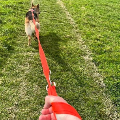 Police Style Dog Training Leads Double Ended Obedience Leash Multi-Functional 20mm Cushion Webbing