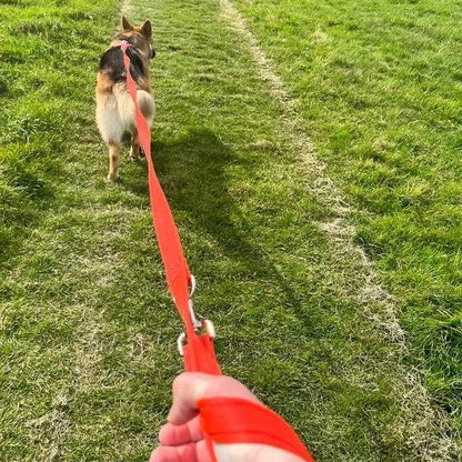 Police Style Dog Training Leads Double Ended Obedience Leash Multi-Functional 25mm Cushion Webbing