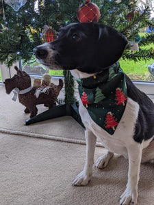 Christmas Dog Bandanas 5 Festive Designs In 4 Sizes 100% Cotton