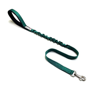 Shock Absorbing Bungee Dog Lead Training Walking Leash With Soft Padded Handle