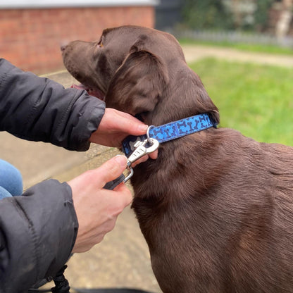 Dog Extension Lead Short Connector Standard Or Bungee Shock Absorber With Swivel Or D-ring