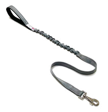 Load image into Gallery viewer, Shock Absorbing Bungee Dog Lead Training Walking Leash With Soft Padded Handle