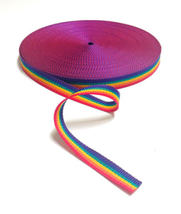 25mm Polypropylene Webbing Pride / Rainbow 1m - 50 Metres Sewing Bags Straps