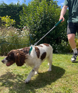 Metal Chain Dog Lead Padded Handle 32" Long 80cm Heavy Duty Short Walking Lead