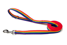 Load image into Gallery viewer, Rainbow Dog Training Leads Long Line Tracking Recall 25mm Wide