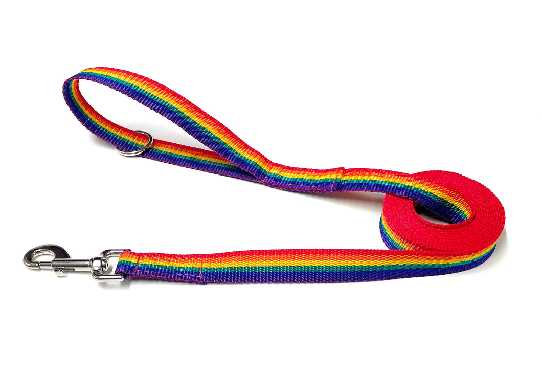 Rainbow Dog Training Leads Long Line Tracking Recall 25mm Wide