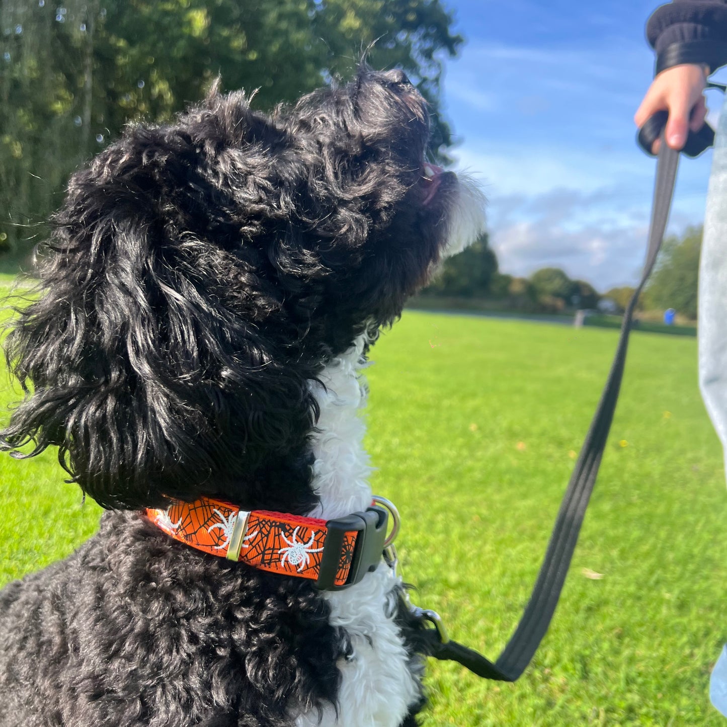 Halloween Dog Collars Adjustable 25mm Wide In Various Designs Small Medium Large